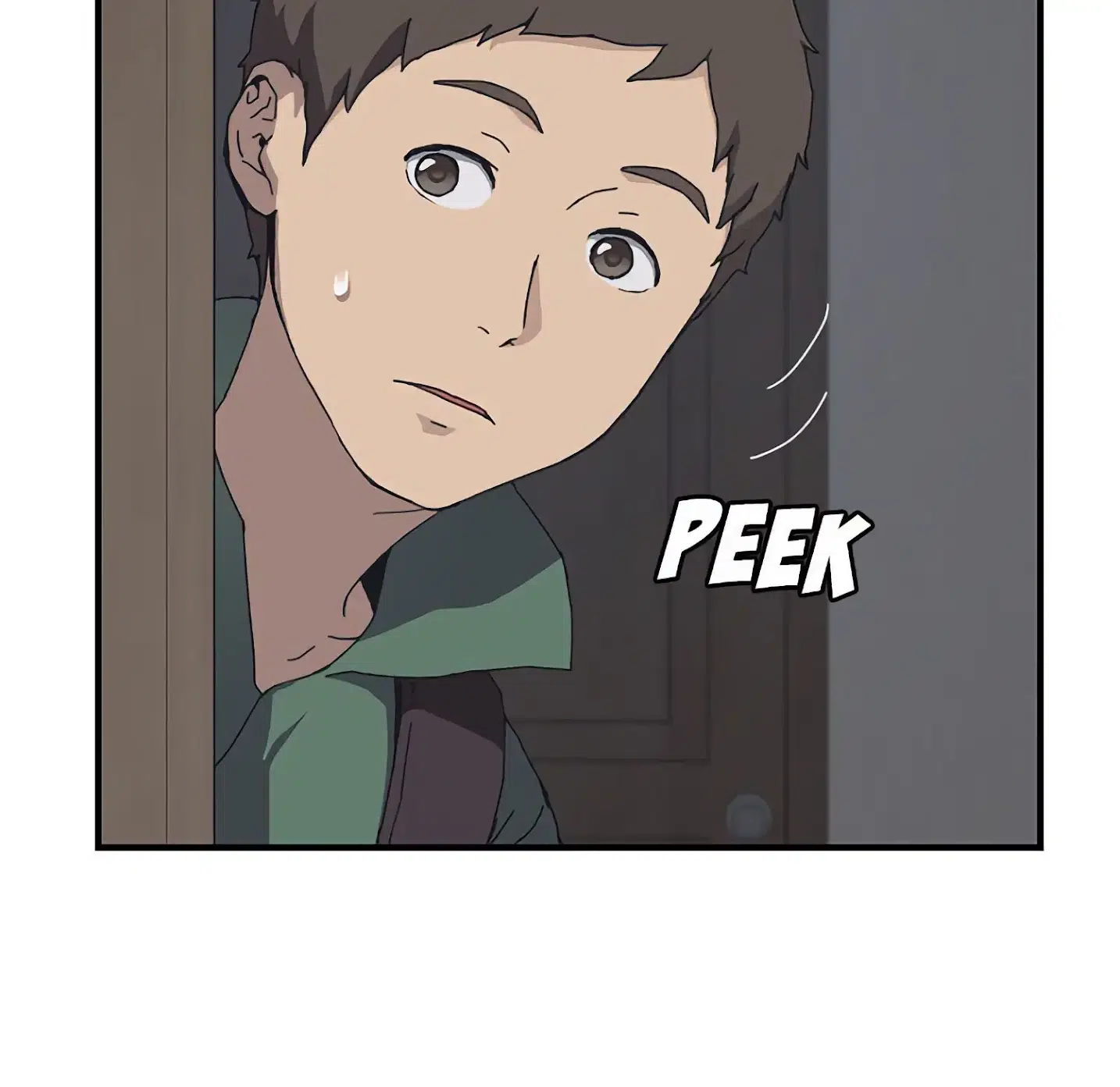 Panel 5